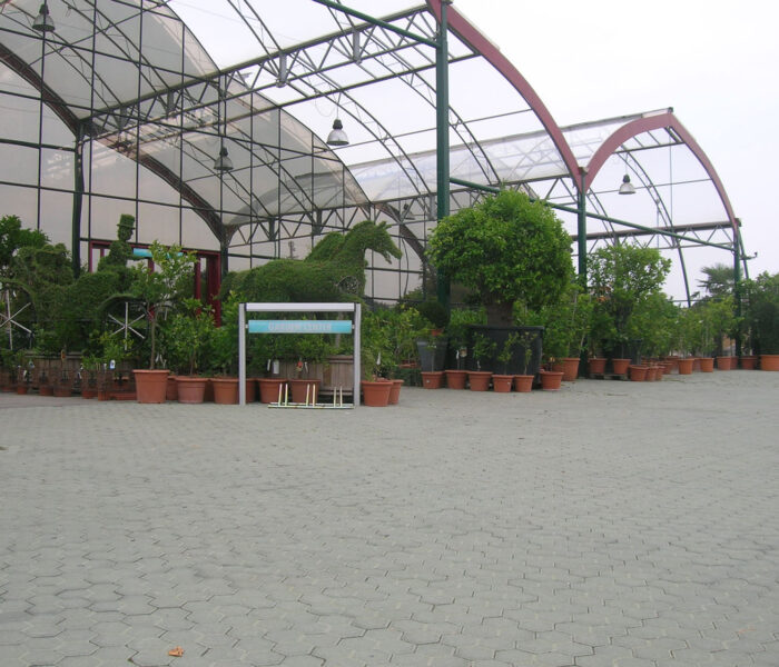 BETON - SERRA MARINO FIORI