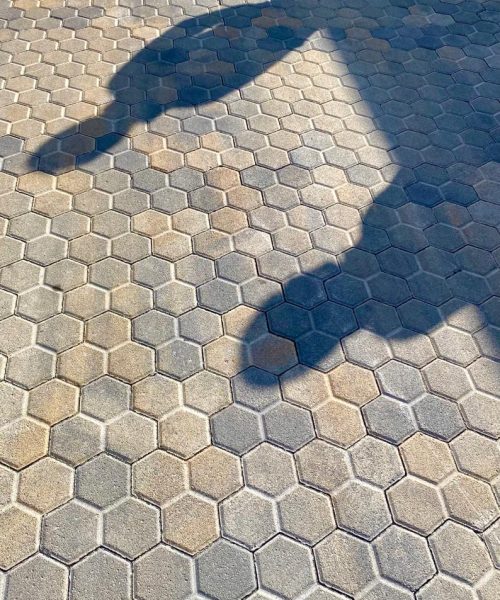 WhatsApp-Image-2023-03-22-at-14.55.56